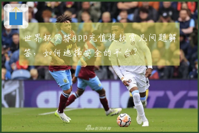 世界杯买球app充值提款常见问题解答，如何选择安全的平台？