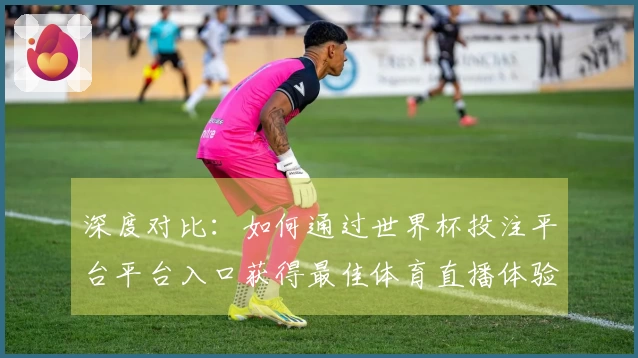 深度对比：如何通过世界杯投注平台平台入口获得最佳体育直播体验