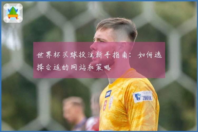 世界杯买球投注新手指南：如何选择合适的网站和策略