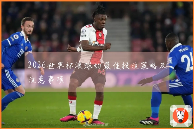 2026世界杯滚球的最佳投注策略及注意事项