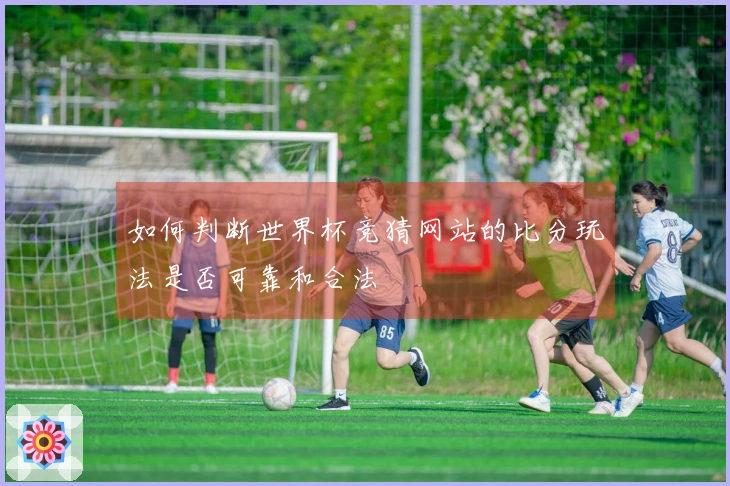 如何判断世界杯竞猜网站的比分玩法是否可靠和合法