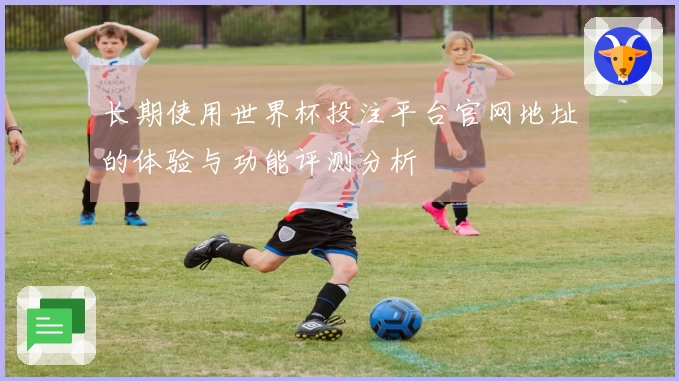 长期使用世界杯投注平台官网地址的体验与功能评测分析