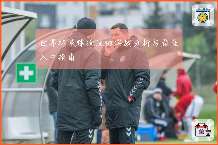 世界杯滚球投注的实战分析与最佳入口指南