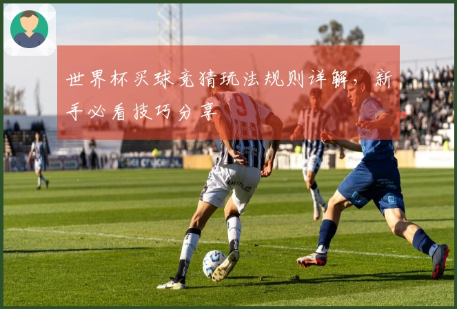 世界杯买球竞猜玩法规则详解，新手必看技巧分享